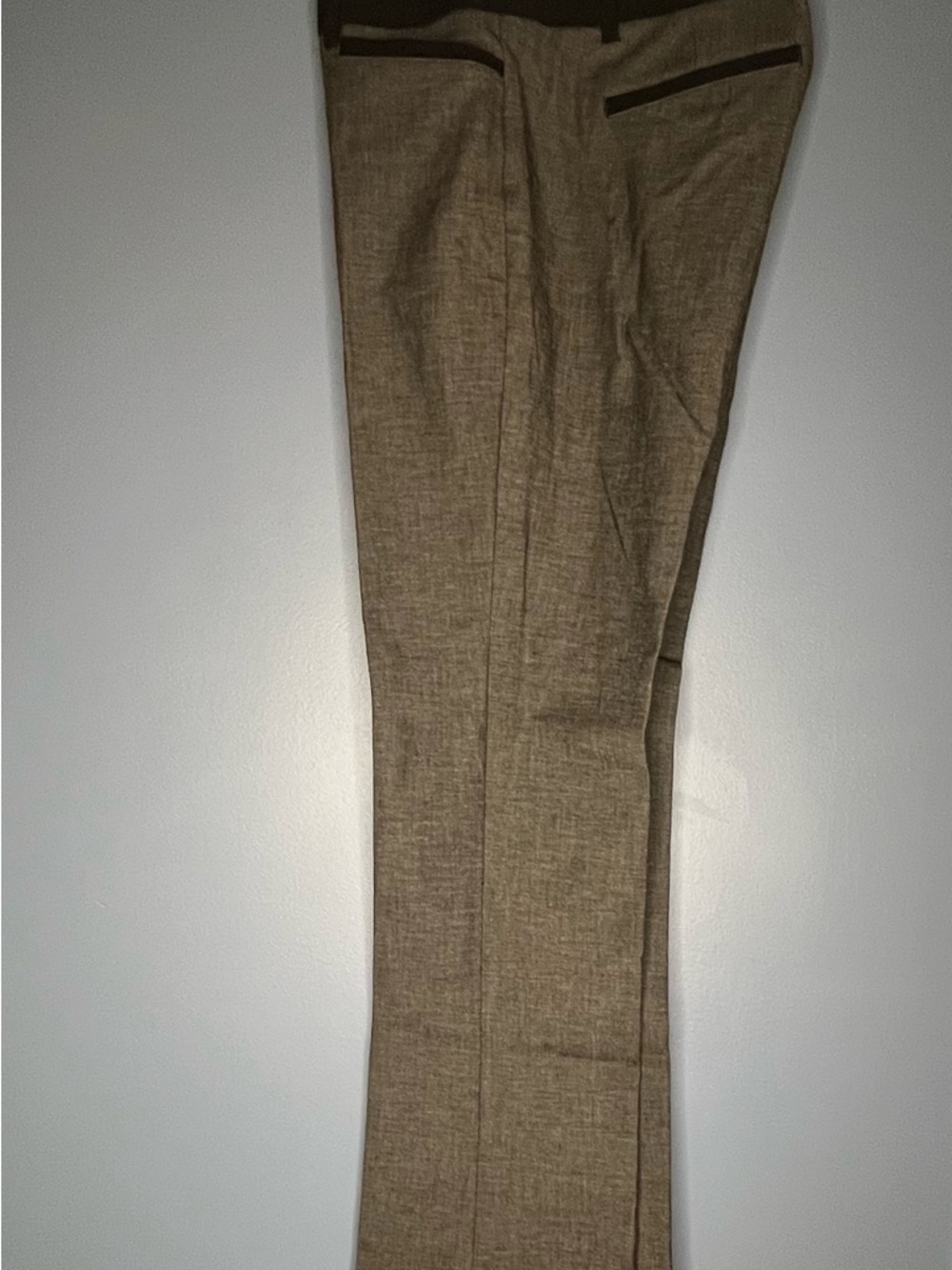 Express Columnist Pants in black/grey